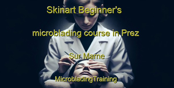 Skinart Beginner's microblading course in Prez Sur Marne | #MicrobladingTraining #MicrobladingClasses #SkinartTraining-France