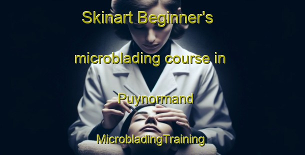 Skinart Beginner's microblading course in Puynormand | #MicrobladingTraining #MicrobladingClasses #SkinartTraining-France