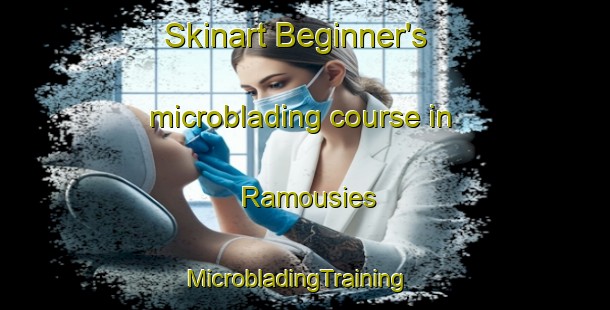 Skinart Beginner's microblading course in Ramousies | MicrobladingTraining | MicrobladingClasses | SkinartTraining-France
