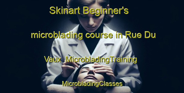 Skinart Beginner's microblading course in Rue Du Vaux | #MicrobladingTraining #MicrobladingClasses #SkinartTraining-France