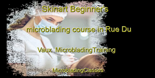 Skinart Beginner's microblading course in Rue Du Vaux | #MicrobladingTraining #MicrobladingClasses #SkinartTraining-France