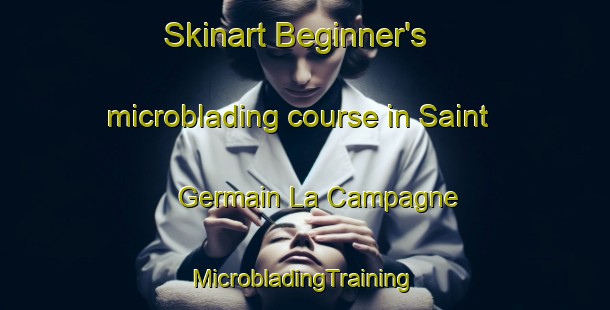 Skinart Beginner's microblading course in Saint Germain La Campagne | #MicrobladingTraining #MicrobladingClasses #SkinartTraining-France