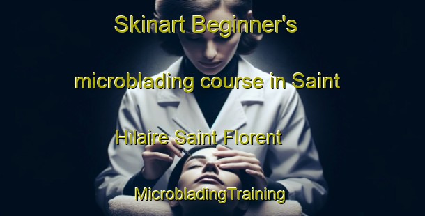 Skinart Beginner's microblading course in Saint Hilaire Saint Florent | #MicrobladingTraining #MicrobladingClasses #SkinartTraining-France