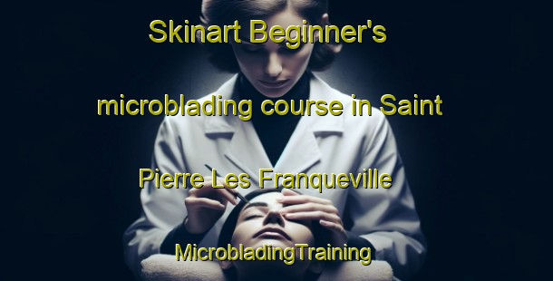 Skinart Beginner's microblading course in Saint Pierre Les Franqueville | #MicrobladingTraining #MicrobladingClasses #SkinartTraining-France