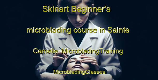 Skinart Beginner's microblading course in Sainte Camelle | #MicrobladingTraining #MicrobladingClasses #SkinartTraining-France