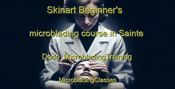 Skinart Beginner's microblading course in Sainte Dode | #MicrobladingTraining #MicrobladingClasses #SkinartTraining-France