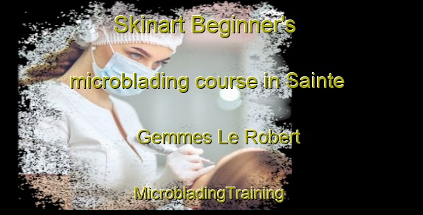 Skinart Beginner's microblading course in Sainte Gemmes Le Robert | #MicrobladingTraining #MicrobladingClasses #SkinartTraining-France