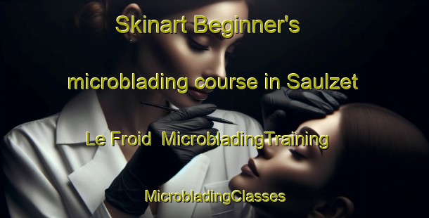 Skinart Beginner's microblading course in Saulzet Le Froid | #MicrobladingTraining #MicrobladingClasses #SkinartTraining-France