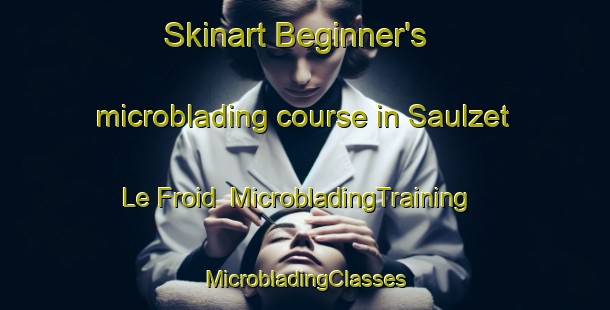 Skinart Beginner's microblading course in Saulzet Le Froid | #MicrobladingTraining #MicrobladingClasses #SkinartTraining-France