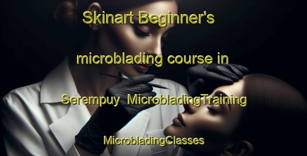 Skinart Beginner's microblading course in Serempuy | #MicrobladingTraining #MicrobladingClasses #SkinartTraining-France