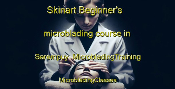 Skinart Beginner's microblading course in Serempuy | #MicrobladingTraining #MicrobladingClasses #SkinartTraining-France