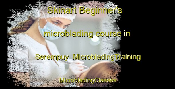 Skinart Beginner's microblading course in Serempuy | #MicrobladingTraining #MicrobladingClasses #SkinartTraining-France