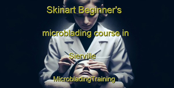 Skinart Beginner's microblading course in Sierville | MicrobladingTraining | MicrobladingClasses | SkinartTraining-France