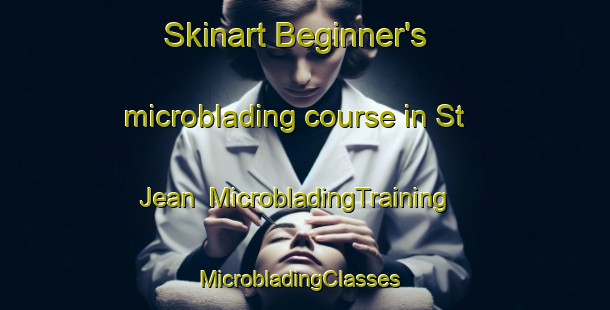 Skinart Beginner's microblading course in St  Jean | MicrobladingTraining | MicrobladingClasses | SkinartTraining-France
