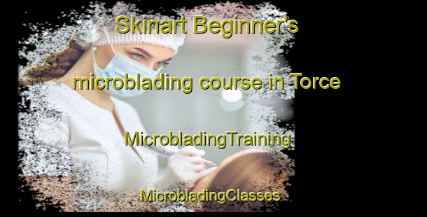 Skinart Beginner's microblading course in Torce | MicrobladingTraining | MicrobladingClasses | SkinartTraining-France