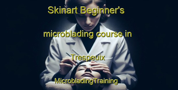 Skinart Beginner's microblading course in Trespeuix | MicrobladingTraining | MicrobladingClasses | SkinartTraining-France