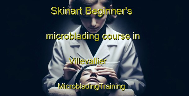 Skinart Beginner's microblading course in Villevallier | MicrobladingTraining | MicrobladingClasses | SkinartTraining-France