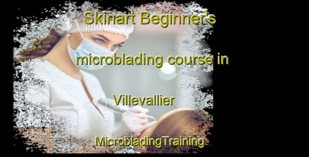 Skinart Beginner's microblading course in Villevallier | MicrobladingTraining | MicrobladingClasses | SkinartTraining-France