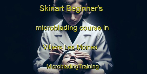 Skinart Beginner's microblading course in Villiers Les Moines | #MicrobladingTraining #MicrobladingClasses #SkinartTraining-France