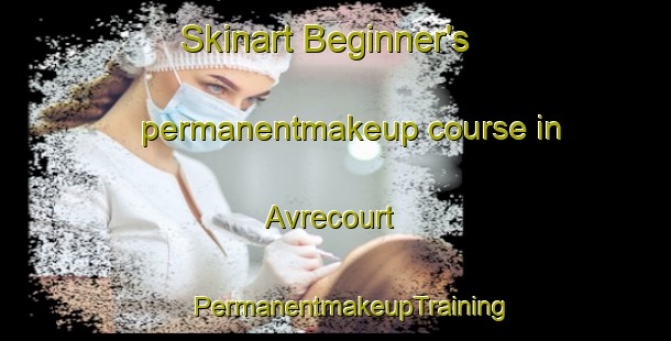 Skinart Beginner's permanentmakeup course in Avrecourt | #PermanentmakeupTraining #PermanentmakeupClasses #SkinartTraining-France