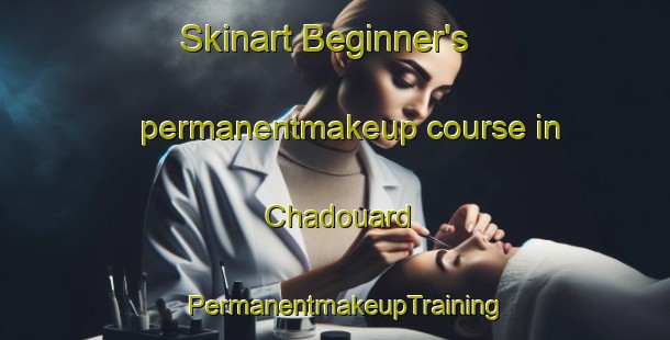 Skinart Beginner's permanentmakeup course in Chadouard | PermanentmakeupTraining | PermanentmakeupClasses | SkinartTraining-France