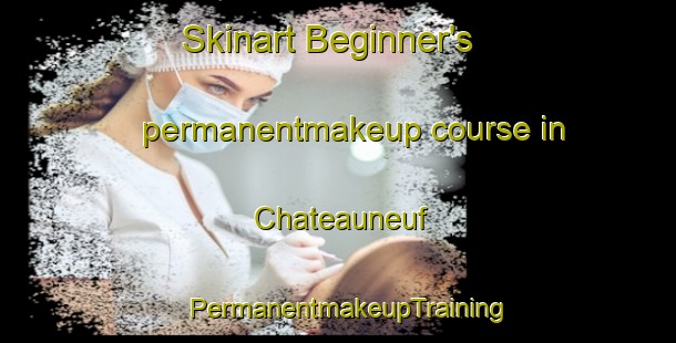 Skinart Beginner's permanentmakeup course in Chateauneuf | PermanentmakeupTraining | PermanentmakeupClasses | SkinartTraining-France