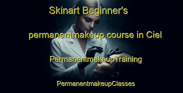 Skinart Beginner's permanentmakeup course in Ciel | #PermanentmakeupTraining #PermanentmakeupClasses #SkinartTraining-France