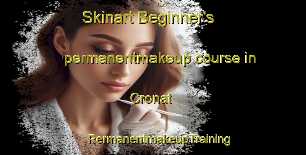 Skinart Beginner's permanentmakeup course in Cronat | #PermanentmakeupTraining #PermanentmakeupClasses #SkinartTraining-France