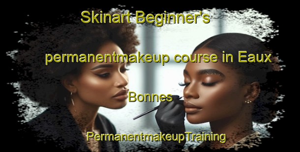 Skinart Beginner's permanentmakeup course in Eaux Bonnes | #PermanentmakeupTraining #PermanentmakeupClasses #SkinartTraining-France