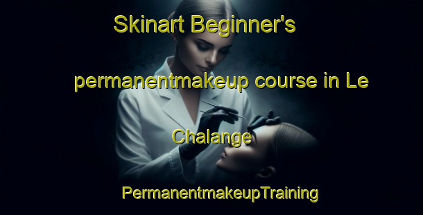 Skinart Beginner's permanentmakeup course in Le Chalange | #PermanentmakeupTraining #PermanentmakeupClasses #SkinartTraining-France