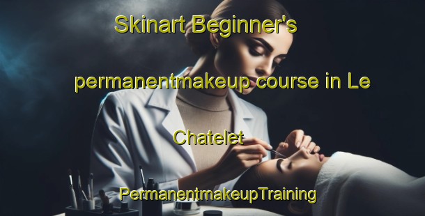 Skinart Beginner's permanentmakeup course in Le Chatelet | PermanentmakeupTraining | PermanentmakeupClasses | SkinartTraining-France