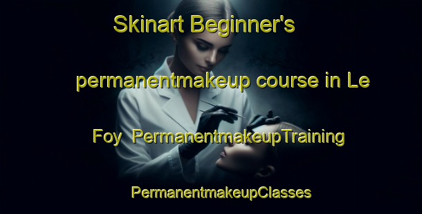 Skinart Beginner's permanentmakeup course in Le Foy | #PermanentmakeupTraining #PermanentmakeupClasses #SkinartTraining-France