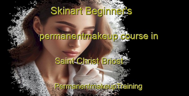 Skinart Beginner's permanentmakeup course in Saint Christ Briost | #PermanentmakeupTraining #PermanentmakeupClasses #SkinartTraining-France