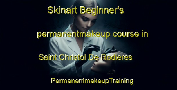 Skinart Beginner's permanentmakeup course in Saint Christol De Rodieres | #PermanentmakeupTraining #PermanentmakeupClasses #SkinartTraining-France