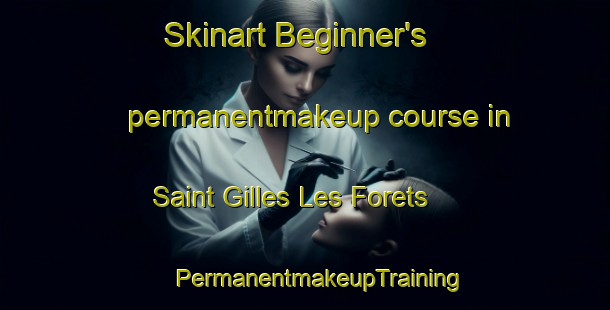 Skinart Beginner's permanentmakeup course in Saint Gilles Les Forets | #PermanentmakeupTraining #PermanentmakeupClasses #SkinartTraining-France