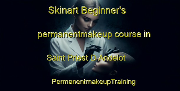 Skinart Beginner's permanentmakeup course in Saint Priest D Andelot | #PermanentmakeupTraining #PermanentmakeupClasses #SkinartTraining-France