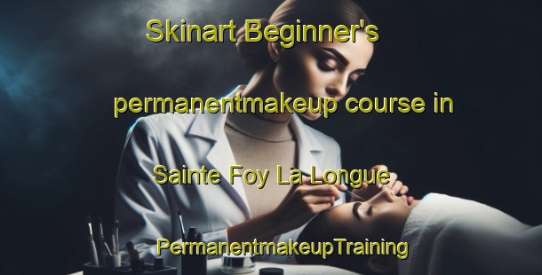 Skinart Beginner's permanentmakeup course in Sainte Foy La Longue | #PermanentmakeupTraining #PermanentmakeupClasses #SkinartTraining-France