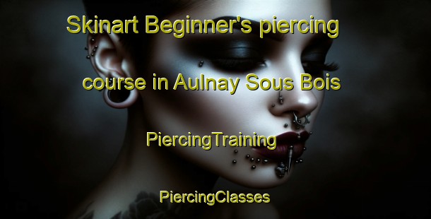 Skinart Beginner's piercing course in Aulnay Sous Bois | #PiercingTraining #PiercingClasses #SkinartTraining-France