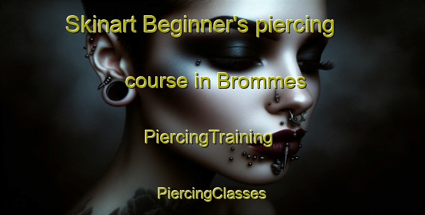 Skinart Beginner's piercing course in Brommes | #PiercingTraining #PiercingClasses #SkinartTraining-France