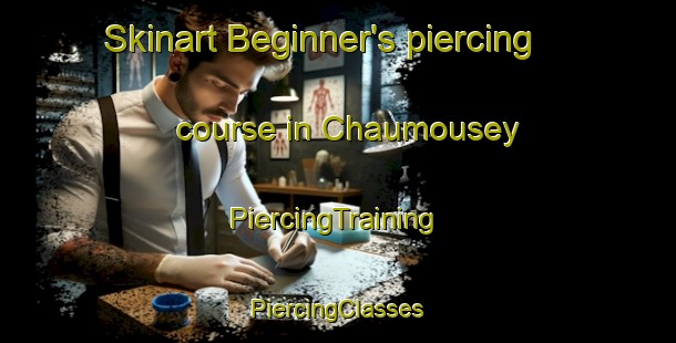 Skinart Beginner's piercing course in Chaumousey | #PiercingTraining #PiercingClasses #SkinartTraining-France