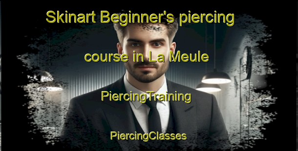 Skinart Beginner's piercing course in La Meule | #PiercingTraining #PiercingClasses #SkinartTraining-France