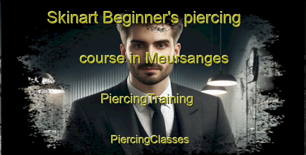 Skinart Beginner's piercing course in Meursanges | PiercingTraining | PiercingClasses | SkinartTraining-France