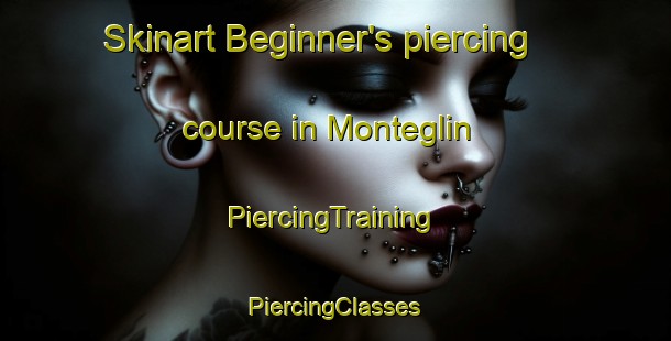 Skinart Beginner's piercing course in Monteglin | #PiercingTraining #PiercingClasses #SkinartTraining-France