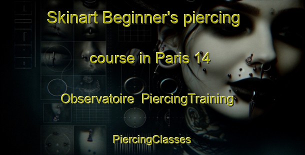 Skinart Beginner's piercing course in Paris 14 Observatoire | #PiercingTraining #PiercingClasses #SkinartTraining-France