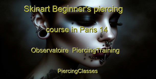 Skinart Beginner's piercing course in Paris 14 Observatoire | #PiercingTraining #PiercingClasses #SkinartTraining-France