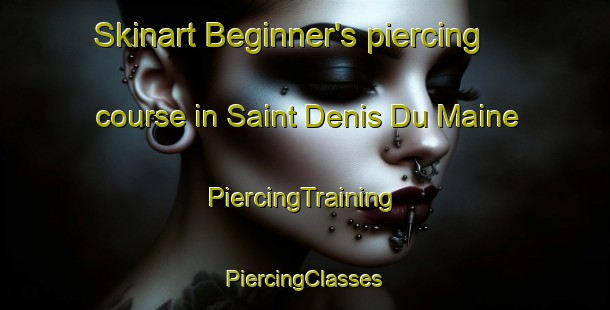 Skinart Beginner's piercing course in Saint Denis Du Maine | #PiercingTraining #PiercingClasses #SkinartTraining-France