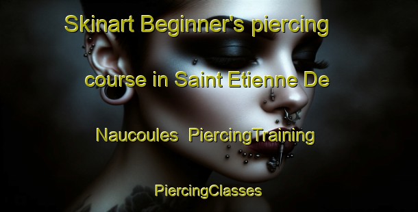 Skinart Beginner's piercing course in Saint Etienne De Naucoules | #PiercingTraining #PiercingClasses #SkinartTraining-France