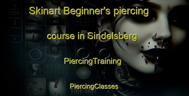 Skinart Beginner's piercing course in Sindelsberg | #PiercingTraining #PiercingClasses #SkinartTraining-France