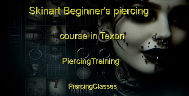 Skinart Beginner's piercing course in Texon | PiercingTraining | PiercingClasses | SkinartTraining-France