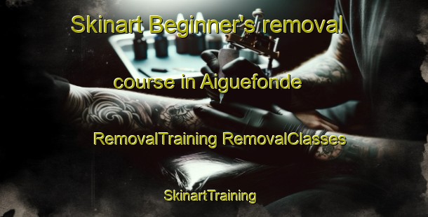 Skinart Beginner's removal course in Aiguefonde | #RemovalTraining #RemovalClasses #SkinartTraining-France